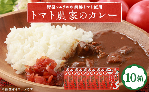 【大阪産】トマト農家のカレー10箱　簡単便利でとってもおいしいあると便利な一品/保存食にも便利【1316538】