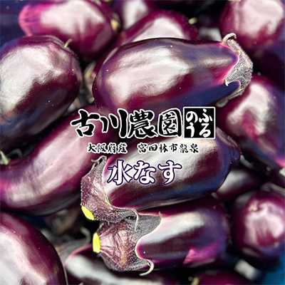 【20本】古川農園　「生水なす」2個入×10袋　そのまま食べられる青果で水なすを産地直送でお届け!【1484515】