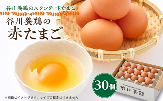 【生みたて濃厚】谷川養鶏の赤たまご　30ヶ入り(※サイズ指定できません)【配送不可地域：離島】【1390294】