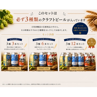 【ブルワー厳選】 万里春醸造クラフトビール 3種飲み比べ 6本セット【配送不可地域：離島】【1754514】