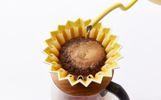 【豆:3種計600g】自家焙煎コーヒー豆(200g×3)　里山ROASTERYお楽しみセット【1695726】
