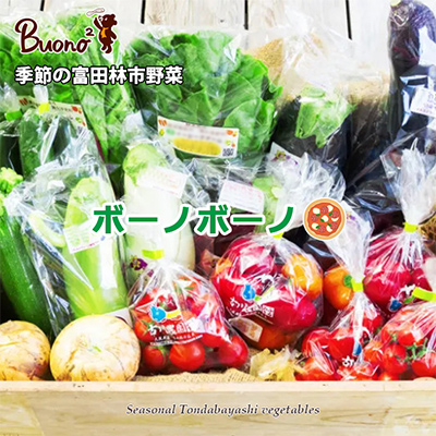 【3枚】南河内野菜たっぷりのボーノボーノピッツァ【配送不可地域：離島】【1531971】