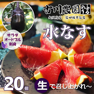 【20本】古川農園　「生水なす」2個入×10袋　そのまま食べられる青果で水なすを産地直送でお届け!【1484515】