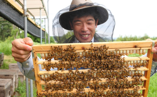 日本産100%ローヤルゼリーカプセル　ローヤルゼリー専門養蜂場アズマ養蜂場からお届けします。【1704321】