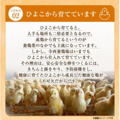 【2ヵ月毎定期便】大阪府富田林産　さしみ卵40個〜50個(季節により個数・サイズが変動します)全6回【4080986】