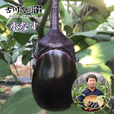 【20本】古川農園　「生水なす」2個入×10袋　そのまま食べられる青果で水なすを産地直送でお届け!【1484515】