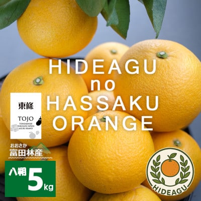 はっさく　大阪富田林市東條産5kg【ヒデアグ】東向き斜面で育てた、みずみずしく美味しい自然派八朔【1706516】