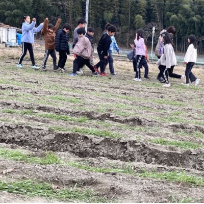 小学生が麦踏みして育った国産小麦!富田林産「全粒粉」2kgセット【1431655】