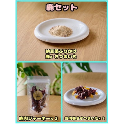【ふるさと納税限定セット】【わんちゃん用ペットフード】鹿セット【1754034】