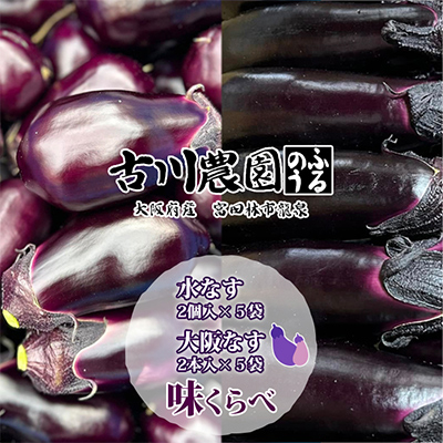 【産地直送】古川農園「大阪なす」と「水なす」の食べ比べセット【1293804】