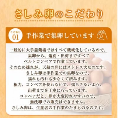 【3ヵ月毎定期便】大阪府富田林産　さしみ卵40個〜50個(季節により個数・サイズが変動します)全4回【4080988】