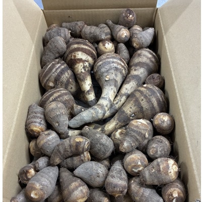 【GI認証取得】とんだばやしの海老芋　1箱(海老芋2kg・孫芋3kg)【1433040】