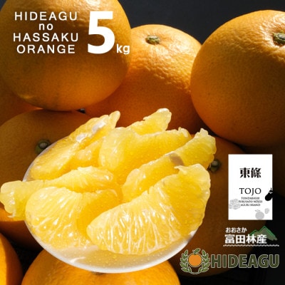 ã¯ã£ããã倧éªå¯ç°æåžæ±æ¢ç£5kgãããã¢ã°ãæ±åãæé¢ã§è²ãŠããã¿ãã¿ãããçŸå³ããèªç¶æŽŸå
«æã1706516ã