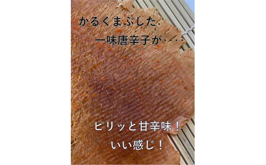 昭和のなつかしい味!やわらか　のしいか(甘辛味)18パック【1410011】