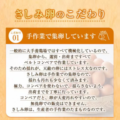 大阪府富田林産　さしみ卵　産直卵145個〜180個(季節により個数・サイズが変動します)【1590902】