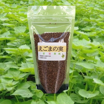 ≪110g×1≫　国産えごまの実　パックチャック(ジッパー)付き　大阪産(もん)認定品【1696345】