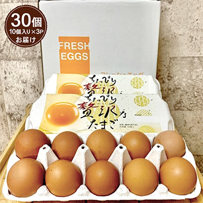 匠のたまご30個入り(10個入り×3P)辰巳悦司養鶏場　G20大阪サミット朝食に使用された卵【1292602】