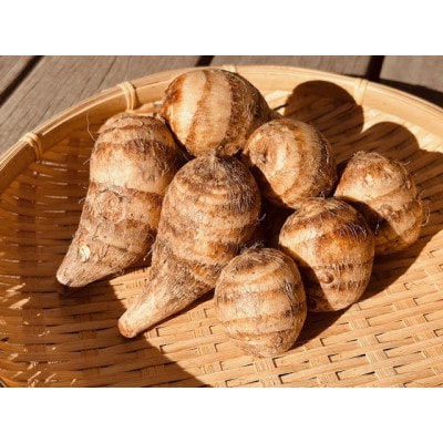 GI富田林の海老芋の孫芋 5kg×1箱【1677519】