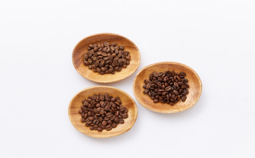 【豆:3種計600g】自家焙煎コーヒー豆(200g×3)　里山ROASTERYお楽しみセット【1695726】