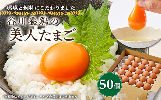 【生みたて濃厚】谷川養鶏の美人たまご　50ヶ入り(※サイズ指定できません)【配送不可地域：離島】【1390274】