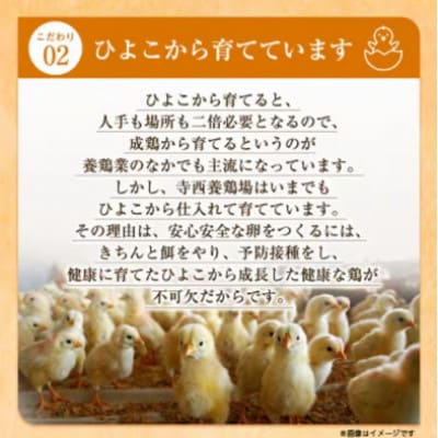 【3ヵ月毎定期便】大阪府富田林産　さしみ卵25個〜30個(季節により個数・サイズが変動します)全4回【4080981】