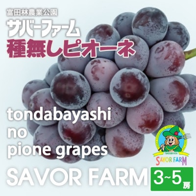 縲3縲5謌ソ縲狗ィョ辟。縺励ヴ繧ェ繝シ繝阪繧オ繝舌シ繝輔ぃ繝シ繝縺ァ荳逡ェ莠コ豌励ョ縺カ縺ゥ縺縲宣埼∽ク榊庄蝨ー蝓滂シ夐屬蟲カ縲代1736629縲