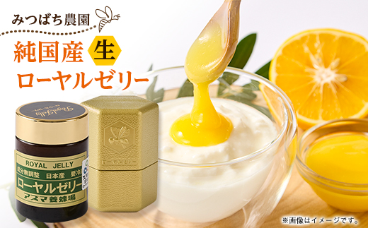 100g　国産はちみつ　生ローヤルゼリー　ローヤルゼリー専門養蜂場で採取　【配送不可地域：離島】【1278562】