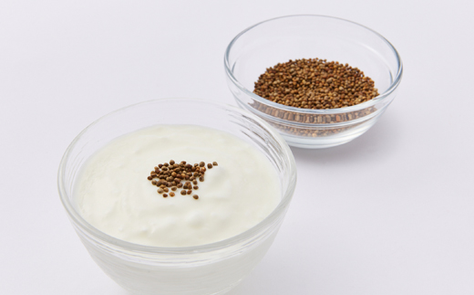 竕ェ50gテ1竕ォ縲蝗ス逕」縺医#縺セ縺ョ螳溘繝代ャ繧ッ繝√Ε繝繧ッ(繧ク繝繝代シ)莉倥″縲螟ァ髦ェ逕」(繧ゅs)隱榊ョ壼刀縲1696339縲