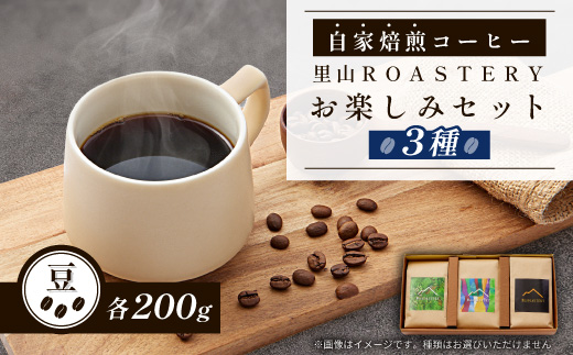 【豆:3種計600g】自家焙煎コーヒー豆(200g×3)　里山ROASTERYお楽しみセット【1695726】