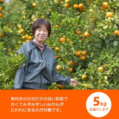 æž©å·ã¿ãã å¯ç°æåžæ±æ¢ç£5kg ãèæ°Žåã çãçŸå³ãã ã¿ãã¿ããããšäººæ°ã®ææ©ã§ããã1669825ã