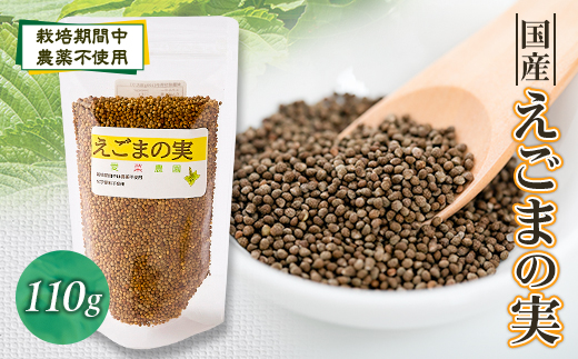 ≪110g×1≫　国産えごまの実　パックチャック(ジッパー)付き　大阪産(もん)認定品【1696345】