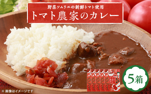 【大阪産】トマト農家のカレー5箱　簡単便利でとってもおいしいあると便利な一品/保存食にも便利【1316537】