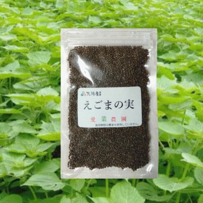 ≪50g×1≫　国産えごまの実　パックチャック(ジッパー)付き　大阪産(もん)認定品【1696339】