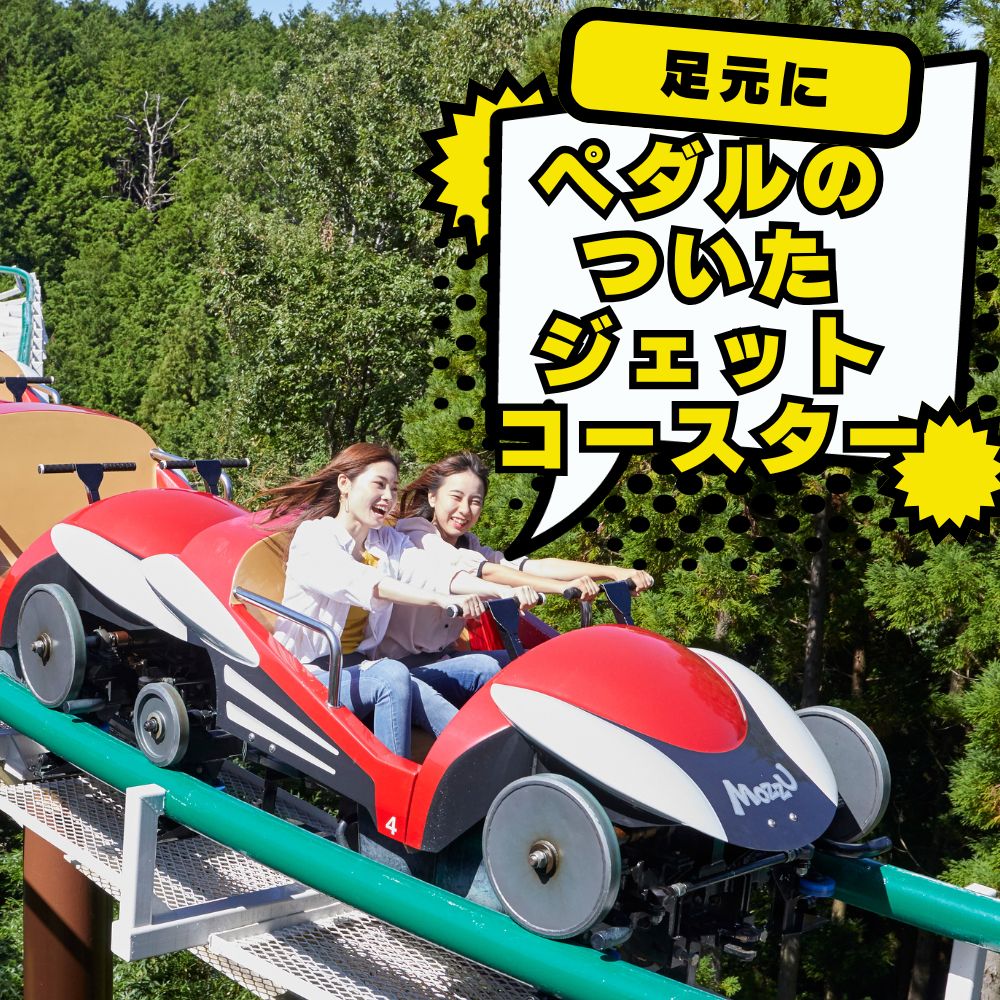 関西サイクルスポーツセンター 入場+プール おとな（中学生以上）1名 | 自転車 テーマパーク アトラクション サイクリング BBQ バーベキュー 春休み 夏休み プール 乗り物 迷路 自然 河内長野