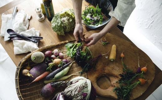 家庭菜園 用土 完全有機土 20L THEO ジオ オーガニック 園芸 CLAY クレイ プランター栽培 野菜 花 花壇 ガーデニング 野菜の土 送料無料 こだわりの逸品 地域特産品 ギフト 自分用 人気 おすすめ
