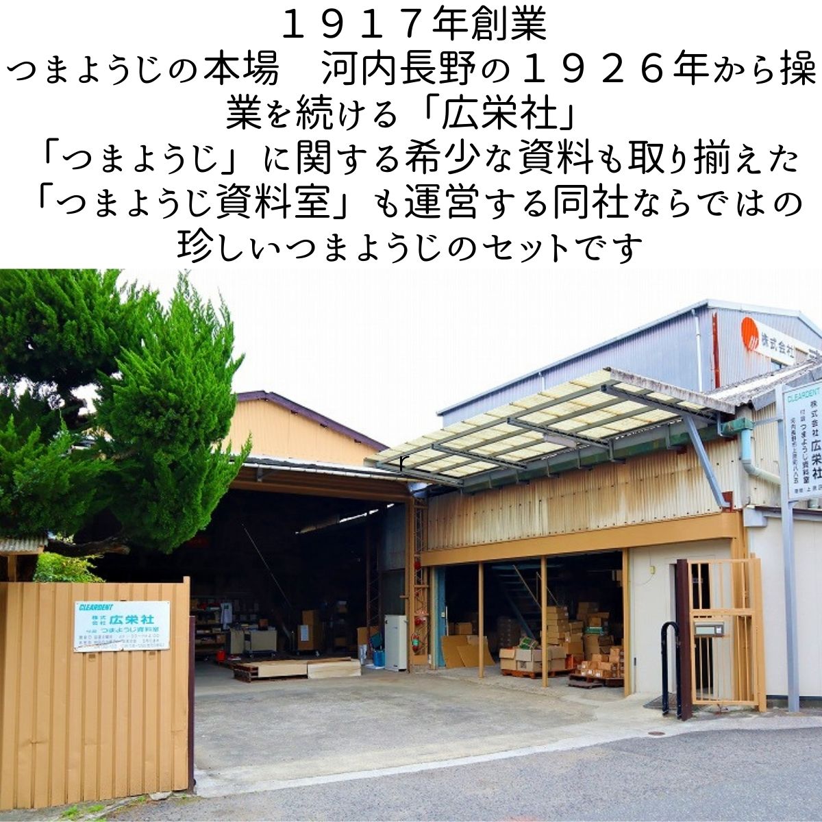 レトロなつまようじセット【河内長野市　地場産品】つまようじ 歯間ようじ 三角楊枝 デンタルピック 送料無料