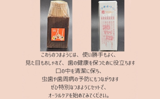 レトロなつまようじセット【河内長野市 地場産品】つまようじ 歯間