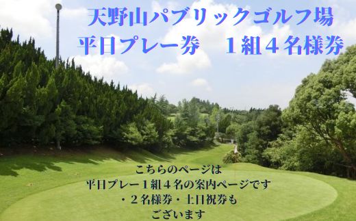 天野山パブリックゴルフ場　平日プレー券　1組４名様　ゴルフ ゴルフ利用券 チケット コース パブリックゴルフ場 送料無料