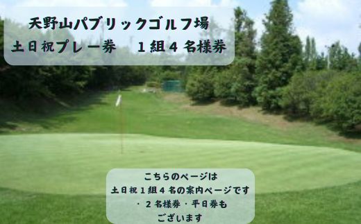 天野山パブリックゴルフ場　土日祝プレー券　1組４名様　ゴルフ ゴルフ利用券 チケット コース パブリックゴルフ場 送料無料