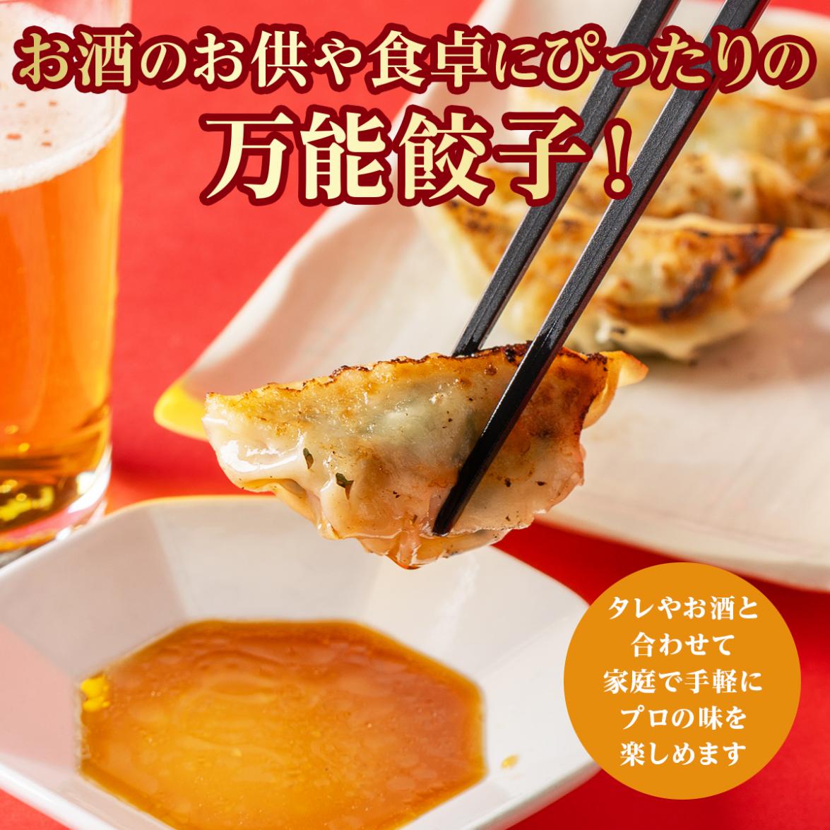 にんにく・にら餃子＆生姜餃子セット　餃子　ぎょうざ　ふるさと納税　おつまみ　冷凍食品　お取り寄せ