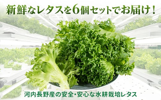 縲仙ョ壽悄萓ソ縲豈取怦縺雁ア翫¢3繝オ譛医代Ξ繧ソ繧ケ 6蛟 豌エ閠墓ス蝓ケ 豐ウ蜀髟キ驥守肇 繝輔Μ繝ォ繝ャ繧ソ繧ケ 遞ョ鬘 譬ス蝓ケ 闖 闌 繧オ繝ゥ繝 蜑ッ闖 縺翫▽縺セ縺ソ 繝輔Ξ繧「繝吶Ν 繝輔Μ繝ォ繧「繧、繧ケ 繧サ繝繝 辟。霎イ阮ャ 譬鬢頑コ轤ケ 繝薙ち繝溘Φ 繝溘ロ繝ゥ繝ォ 螳牙ソ 螳牙ィ 譁ー魄ョ繝ャ繧ソ繧ケ