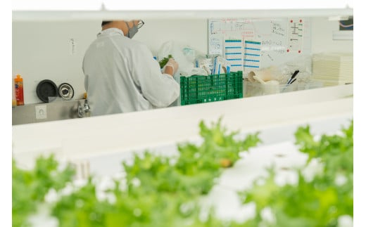 縲仙ョ壽悄萓ソ縲豈取怦縺雁ア翫¢3繝オ譛医代Ξ繧ソ繧ケ 6蛟 豌エ閠墓ス蝓ケ 豐ウ蜀髟キ驥守肇 繝輔Μ繝ォ繝ャ繧ソ繧ケ 遞ョ鬘 譬ス蝓ケ 闖 闌 繧オ繝ゥ繝 蜑ッ闖 縺翫▽縺セ縺ソ 繝輔Ξ繧「繝吶Ν 繝輔Μ繝ォ繧「繧、繧ケ 繧サ繝繝 辟。霎イ阮ャ 譬鬢頑コ轤ケ 繝薙ち繝溘Φ 繝溘ロ繝ゥ繝ォ 螳牙ソ 螳牙ィ 譁ー魄ョ繝ャ繧ソ繧ケ