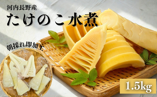 【2026年5月以降順次発送】国産 たけのこ 水煮 1.5kg 朝採れを即加工 タケノコ 竹の子 筍 小分け 長期保存 真空パック たけのこご飯 煮物 河内長野市 送料無料 こだわりの逸品 地域特産品 ギフト 自分用 人気 おすすめ