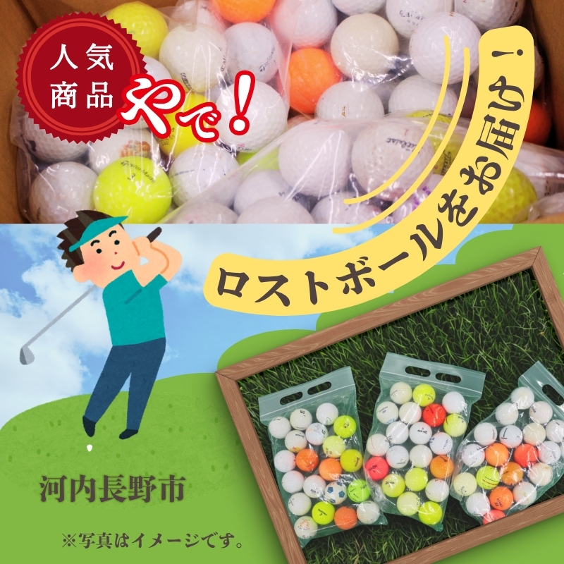 ロストボール  20球×3袋  ゴルフボール 中古 洗浄済み 大容量 訳あり 練習用 球数重視 傷あり メーカー混在 安価で練習したい方におすすめ 送料無料 ゴルフ初心者 ゴルフボール ゴルフ練習　タイトリスト ブリヂストン スリクソン HONMA テーラーメイド 