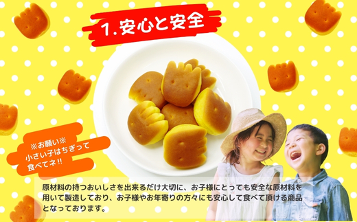 かぼちゃとにんじんのやさいパン 大容量！ 65ｇ×16袋  お菓子 駄菓子 子ども キッズ お年寄り おやつ こだわり 安心 