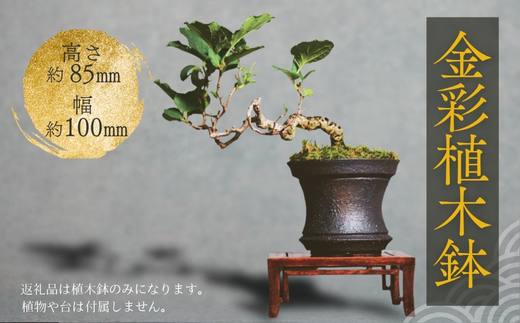 金彩植木鉢 ミニ盆栽 多肉植物 手作り 植木鉢 うえきばち 一点もの 鉢 観葉植物 ガーデニング おしゃれ こだわりの逸品 地域特産品 ギフト 自分用 人気 おすすめ 大阪 河内長野 プレゼント 父の日 母の日 敬老の日 誕生日 お祝い 陶芸