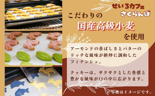 ãã£ãã³ã·ã§&ã¯ãããŒã®ãã Bããèå ã¹ã€ãŒã ãè€çŸ ç¹å¥ æåç£ ãã¬ãŒã³ã ãã〠ãããã äººæ° ãããã ã®ãã èªåçš æ²³å
é·é éæç¡æ