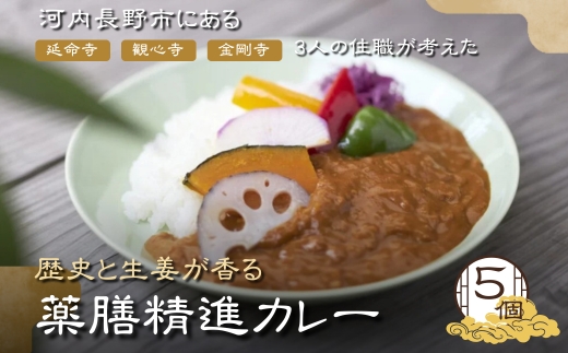 歴史と生姜が香る 薬膳精進カレー ５個 観心寺 金剛寺 延命寺 住職発案 人気レストラン 創作精進料理KU-RI 監修 肉 魚 五辛 不使用 健康 簡単調理 レトルトパック こだわりの逸品 地域特産品 ギフト 自分用 人気 おすすめ