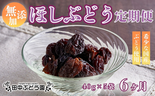 【定期便　毎月お届け6ヵ月】ほしぶどう 40g×5袋 国産 ドライフルーツ 無添加 複数品種 希少 レア 小分け 干し葡萄 干しぶどう 干しブドウ 無添加 保存食 備蓄食 常備食 食物繊維 鉄分 無添加 複数品種 希少 レア 小分け干し葡萄 ほしぶどう 無添加 防災食品 保存食 備蓄食 常備食 食物繊維 鉄分 ポリフェノール レーズン 製菓 製パン グラノーラ おやつ おつまみ 送料無料