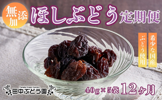 【定期便　毎月お届け12ヵ月】ほしぶどう 40g×5袋 国産 ドライフルーツ 無添加 複数品種 希少 レア 小分け 干し葡萄 干しぶどう 干しブドウ 無添加 保存食 備蓄食 常備食 食物繊維 鉄分 無添加 複数品種 希少 レア 小分け干し葡萄 ほしぶどう 無添加 防災食品 保存食 備蓄食 常備食 食物繊維 鉄分 ポリフェノール レーズン 製菓 製パン グラノーラ おやつ おつまみ 送料無料